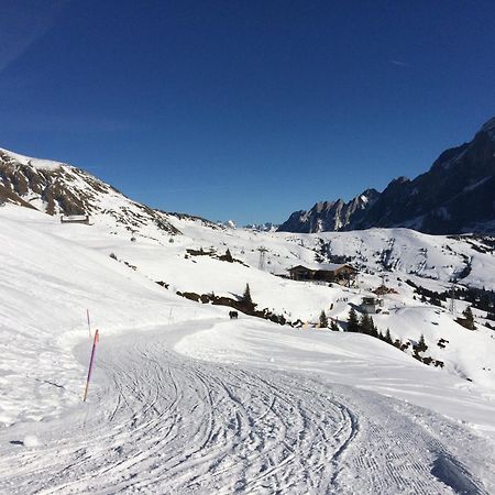 Apartament Grindelwald-Sunneblick Zewnętrze zdjęcie