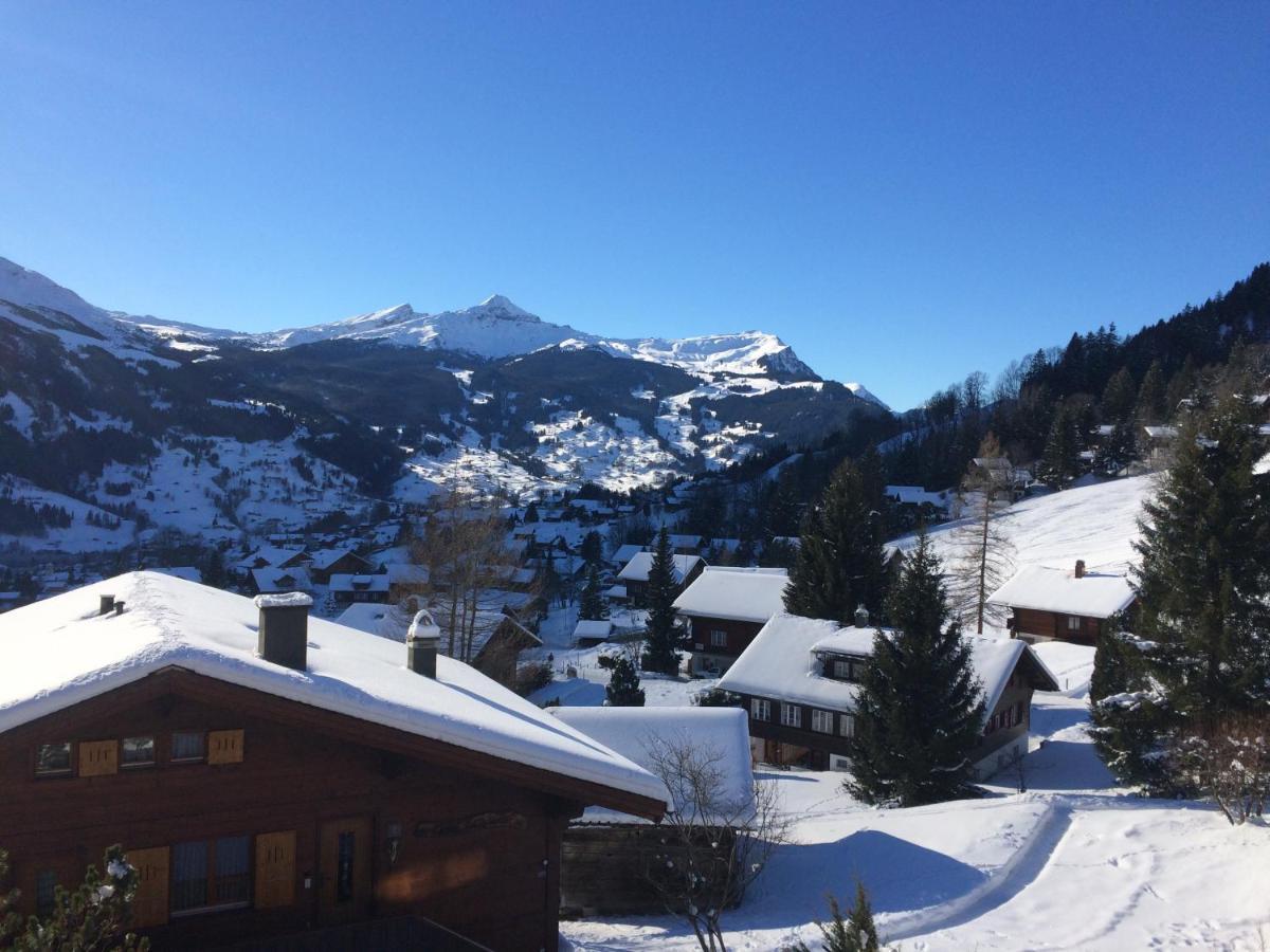Apartament Grindelwald-Sunneblick Zewnętrze zdjęcie