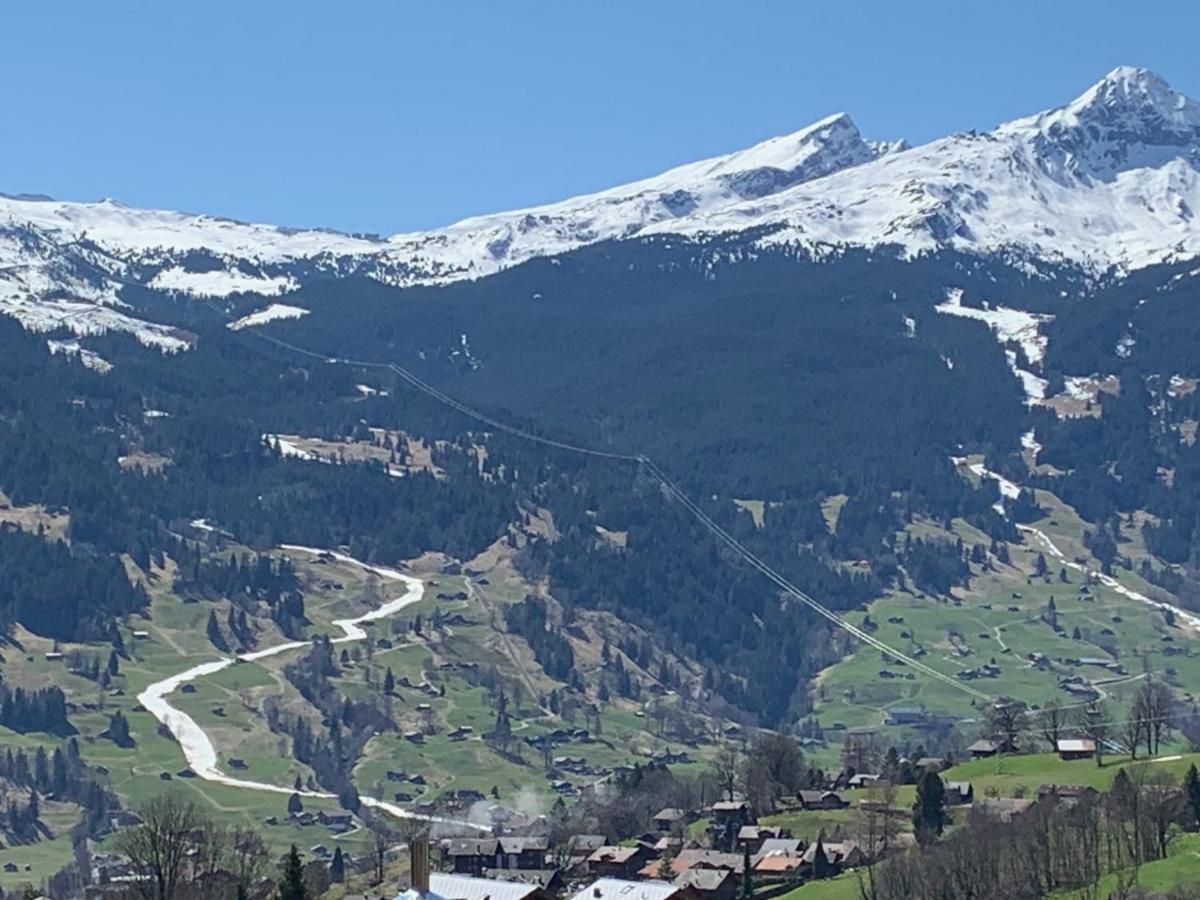 Apartament Grindelwald-Sunneblick Zewnętrze zdjęcie