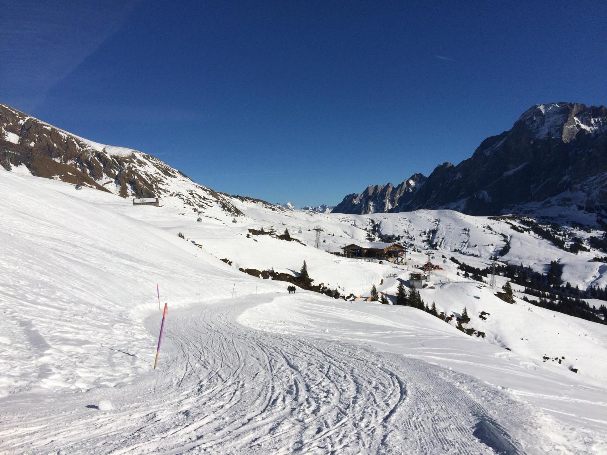 Apartament Grindelwald-Sunneblick Zewnętrze zdjęcie